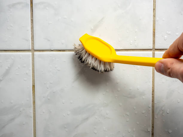 Best Mold Damage Repair  in Inwood, WV