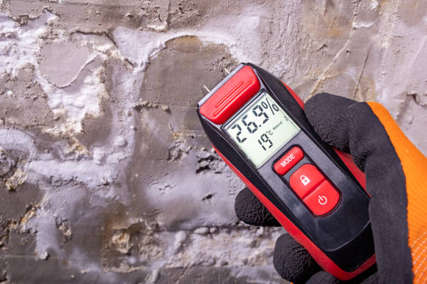 Best Mold Cleaning Services  in Inwood, WV