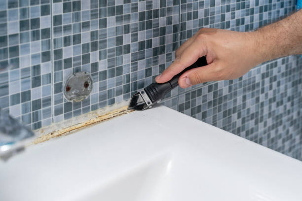 Best Commercial Mold Removal  in Inwood, WV