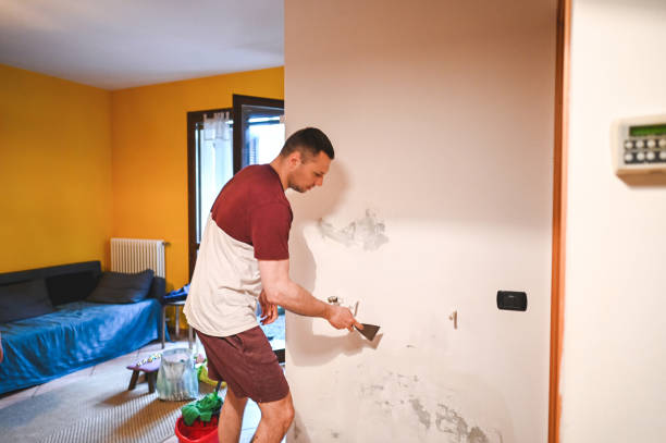 Best Black Mold Removal  in Inwood, WV