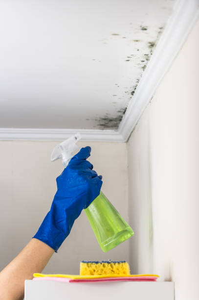 Best Mold Testing  in Inwood, WV